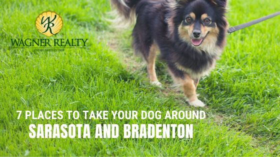 Dog park Bradenton